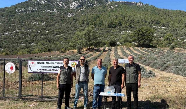 Bakımını yapan kullanım hakkını elde edecek