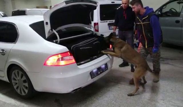 Kaçakçılık operasyonunda 6 gözaltı