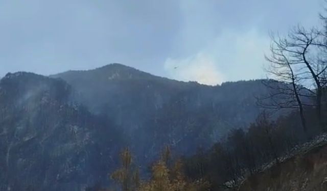 Buldan dağlarının yeşil örtüsü siyaha büründü