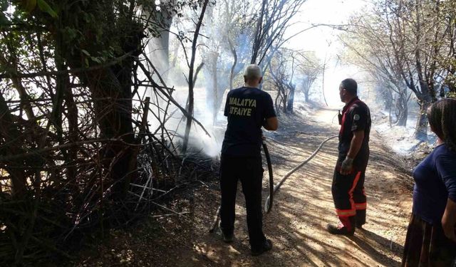 Çöpleri yakmak isterken meyve bahçelerini küle çevirdi