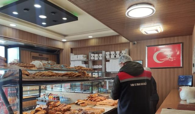 Gıda satışı yapan işletmelere denetim