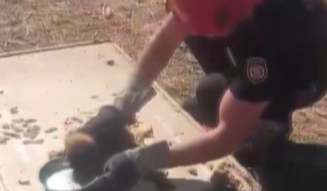 Kanala düşen yavru köpek kurtarıldı