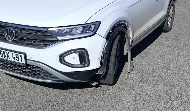 Otomobilin çarptığı köpek telef oldu