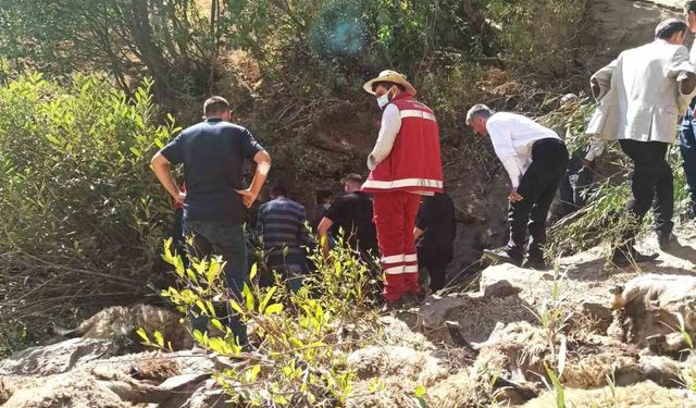 334 koyun uçurumdan düşerek telef oldu