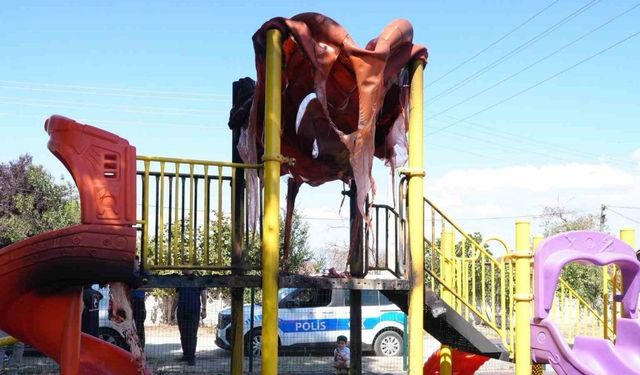 Vandallar çocuk oyun parkını yaktı