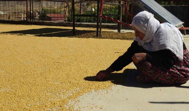 Yüzyıllardır devam eden bulgur kaynatma geleneği devam ediyor