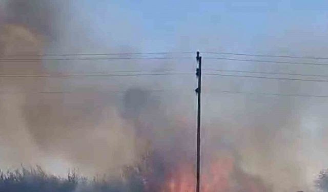 Zamanında müdahale yangının bahçelere sıçramasını önledi