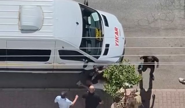 Bıçaklama anı saniye saniye görüntülendi