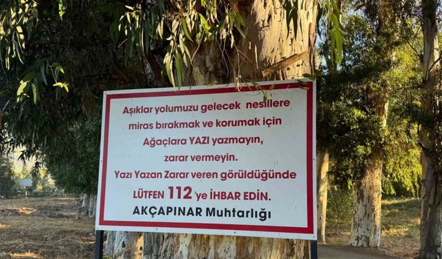 Ağaçlara yazı yazanları tabela ile uyardı