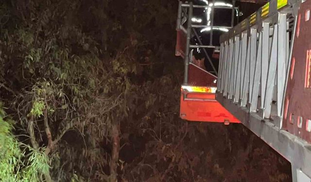 Ağaçta sıkışan kediyi itfaiye kurtardı