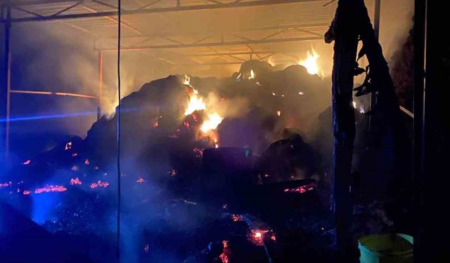 Ahırda yangınında 1 buzağı telef oldu