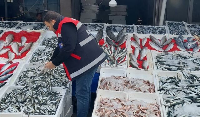 Balık tezgahları denetlendi