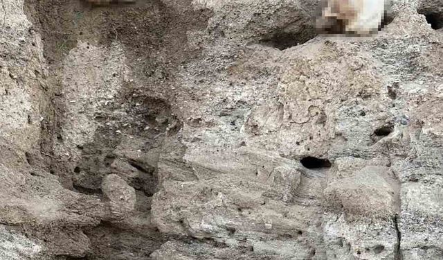 Bulunan insan kemikleri incelemeye alındı