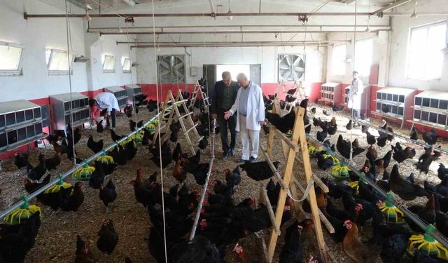 Çiftlik gibi okul yaptılar, sermayeye katkı sağladılar