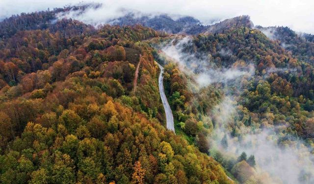 Film platosunu aratmayan manzara