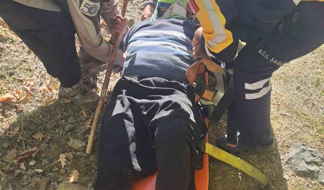 Hayvan otlatırken kayalıklardan düşen gazi kurtarıldı