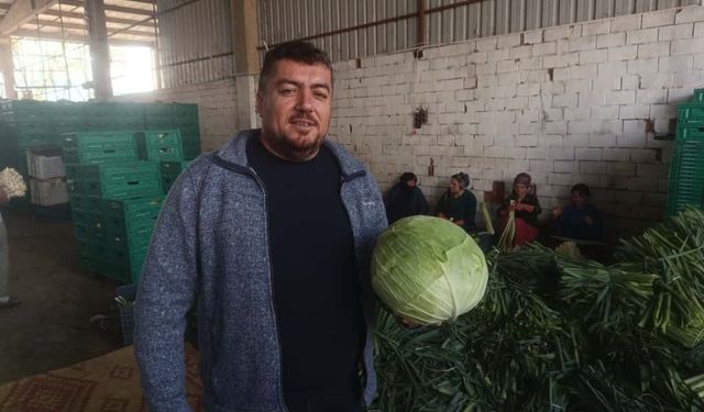 Kışlık ürünlerde hasat başladı