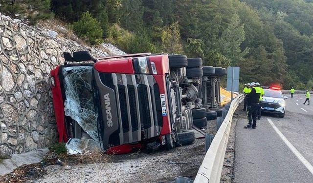 Kontrolden çıkan yem yüklü tır devrildi