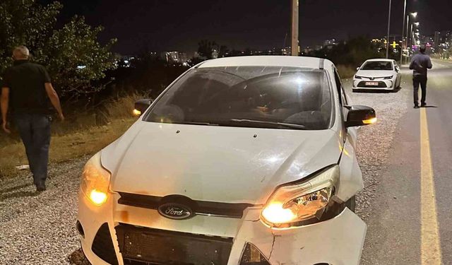 Otomobilin çarptığı domuz telef oldu