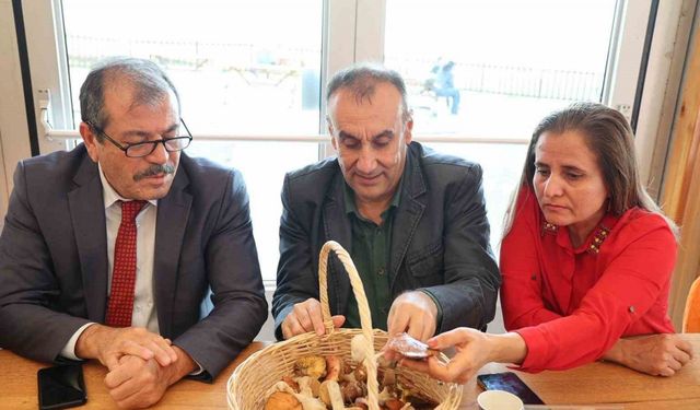 Mantarların gizemli dünyası anlatıldı