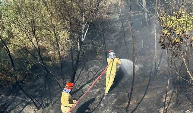 Bahçe yangını büyümeden söndürüldü