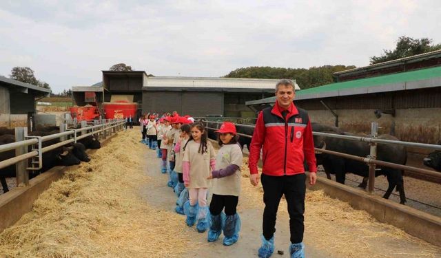 Minikler tarımı yerinde öğrendi