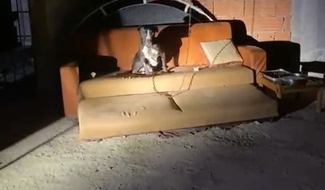 Panik yaşayan mahalle sakinleri konuştu