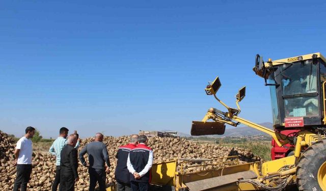 Pazar bölgesinde 450 bin tonluk pancar hasadı hedefleniyor