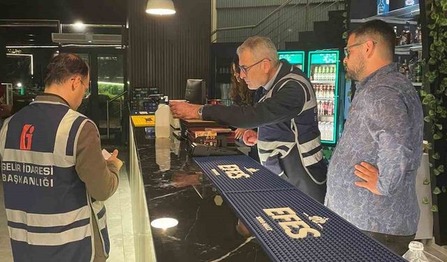 Eğlence mekanlarına vergi denetimi