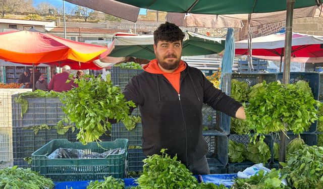 Niğde’de mevsim yeşillikleri tezgâhta