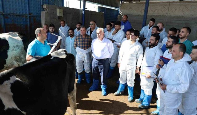 60 ilin personeline ineklerin başında uygulamalı eğitim