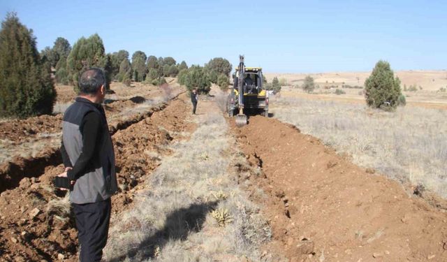 11 bin orman fidanı daha toprakla buluşturulacak