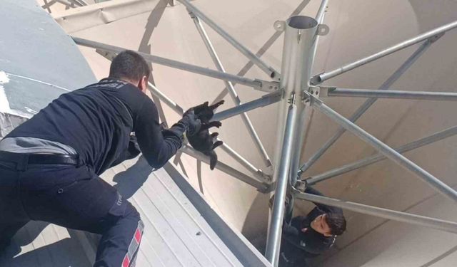 Çatıda mahsur kalan kediyi itfaiye kurtardı