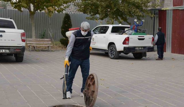 Haşerelere karşı kışlak ilaçlamanın startı verildi
