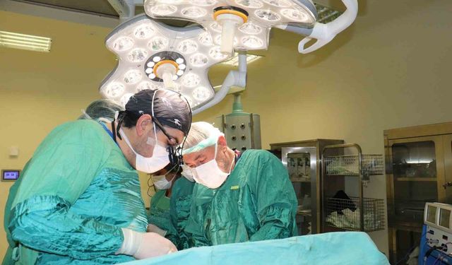 Hasta kadının karnından 15 kilo tümör çıkarıldı