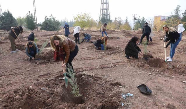 Kadına yönelik şiddete dikkat çekmek amacıyla fidan dikim etkinliği yapıldı