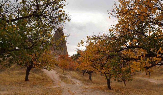 Kapadokya’daki renk cümbüşü dron ile görüntülendi