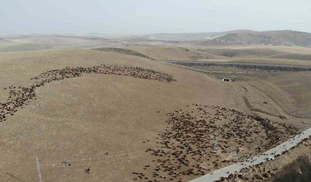 Göçerlerin zorlu yolculuğu başladı