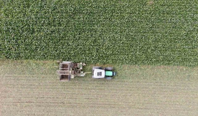 Çiftçilerin zorlu pancar mesaisi devam ediyor