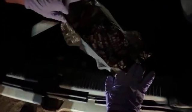 Jandarma ekiplerinden uyuşt *urucu operasyonu