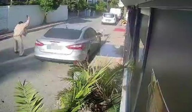 Köpeği silahla vuran emekli polis için 4 yıla kadar hapis talebi