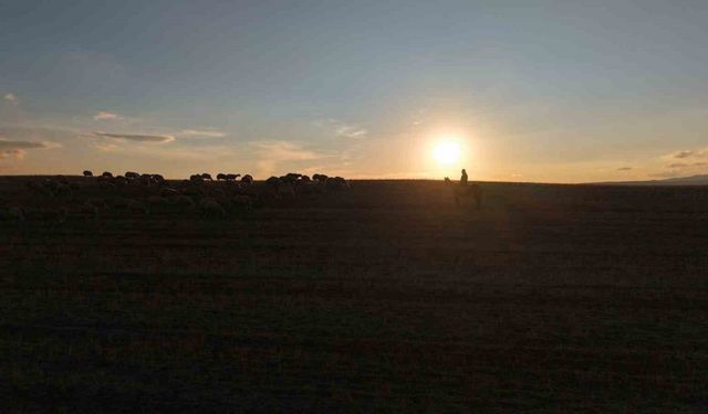 İstanbul stresini bırakıp köyde huzuru buldu