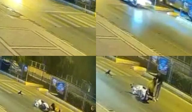 Motosiklet kazasında köpeğin sadakati duygulandırdı