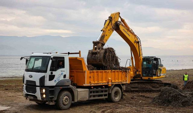 Sapanca Gölü kıyılarında ekosistemi koruyan temizlik