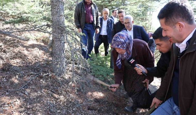 Mantar toplayanlar için uyarı: "Her mantar toplanmaz"