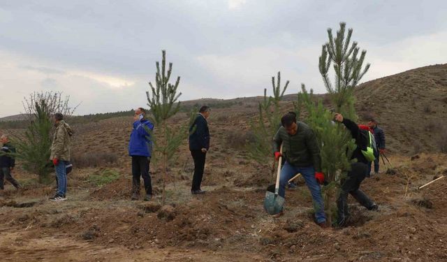 58 bin fidan toprakla buluşturuldu