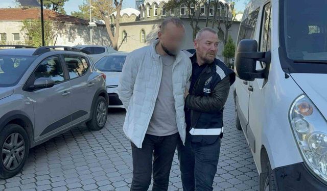 Üzerinde bonzai ele geçirilen şahıs adliyeye sevk edildi