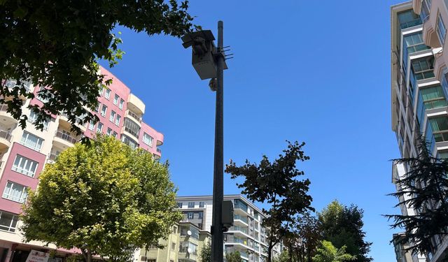 Niğde’de trafikte kuş uçmadı