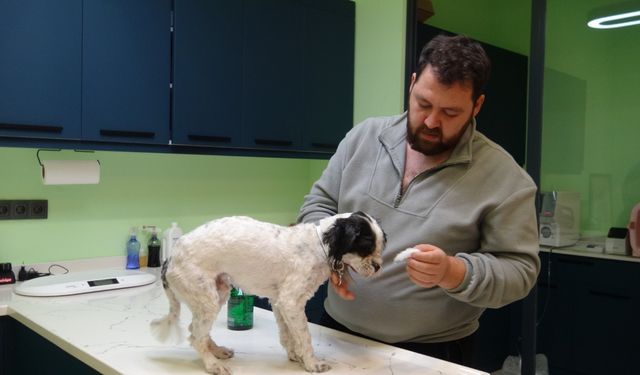 Niğde’de kediniz ve köpeğiniz için son şans!