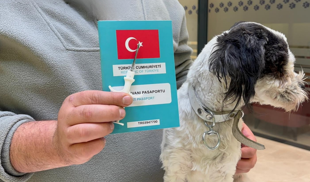 Niğde’de evcil hayvanlar için son gün 31 Aralık